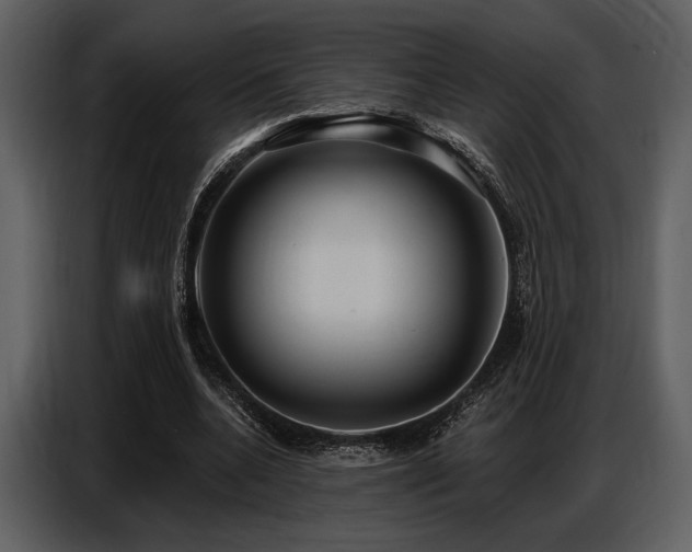 X0000087740536200705071054