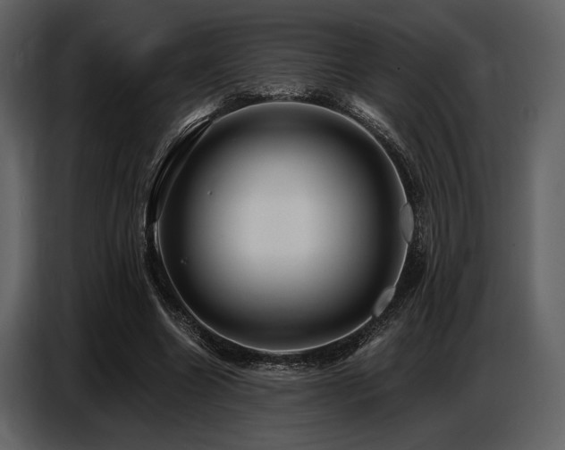 X0000087740538200705071054