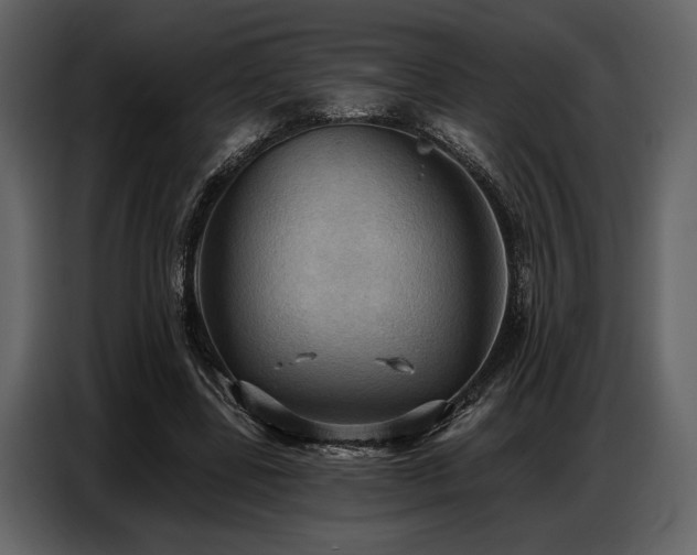 X0000087740539200705071054