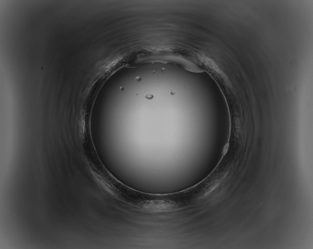 X0000087740541200705071054