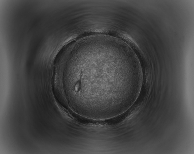 X0000087740542200705071054