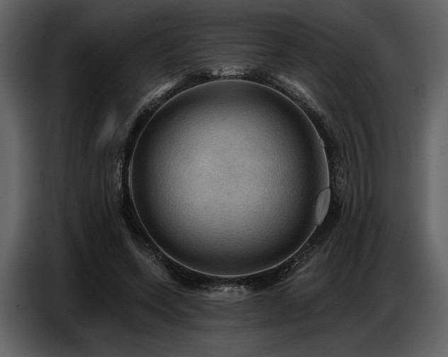 X0000087740543200705071054