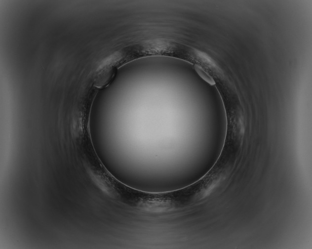 X0000087740546200705071054