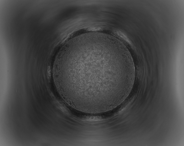 X0000087740549200705071055