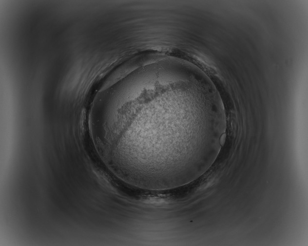 X0000087740550200705071055