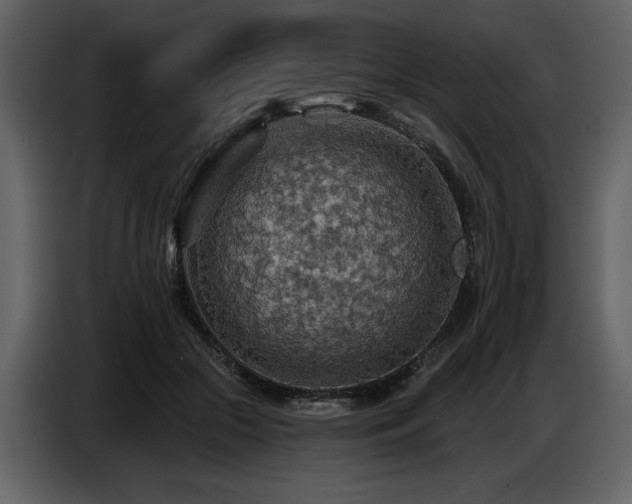 X0000087740553200705071055