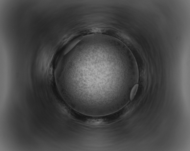 X0000087740554200705071055
