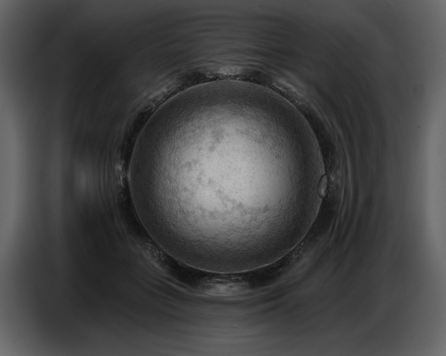 X0000087740555200705071055