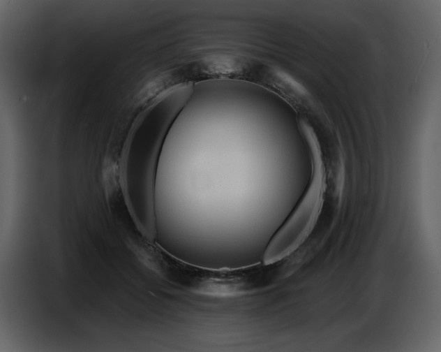 X0000087740556200705071055