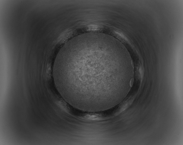 X0000087740557200705071055