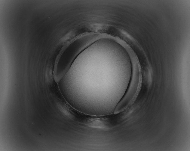 X0000087740558200705071055