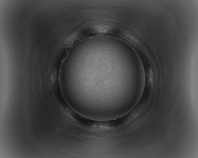 X0000087740559200705071055