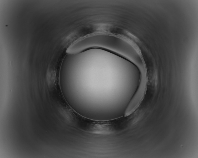 X0000087740560200705071055