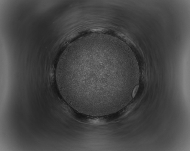 X0000087740561200705071055
