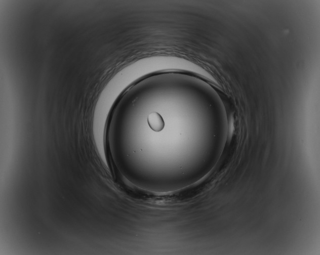 X0000087740564200705071055