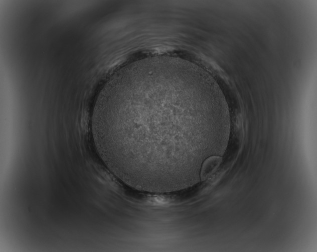 X0000087740565200705071055