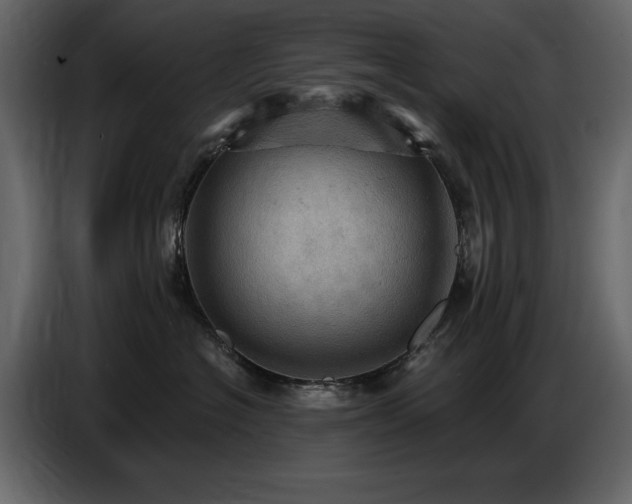 X0000087740574200705071055