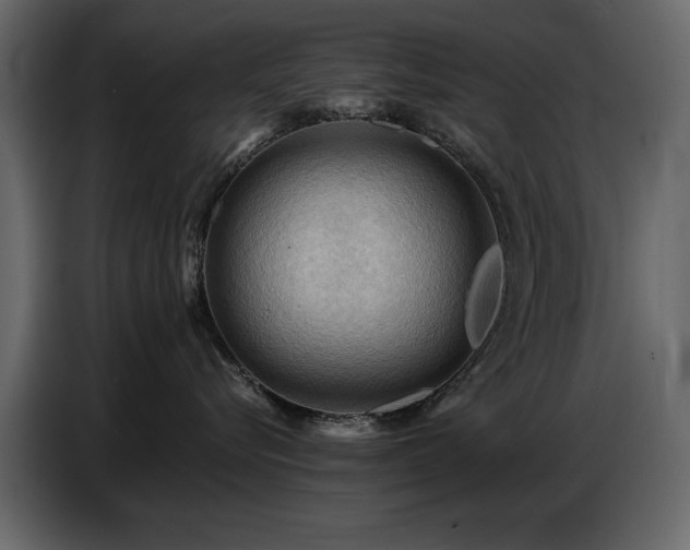 X0000087740576200705071055