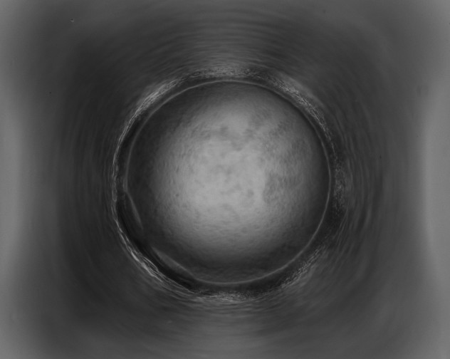 X0000087740578200705071054