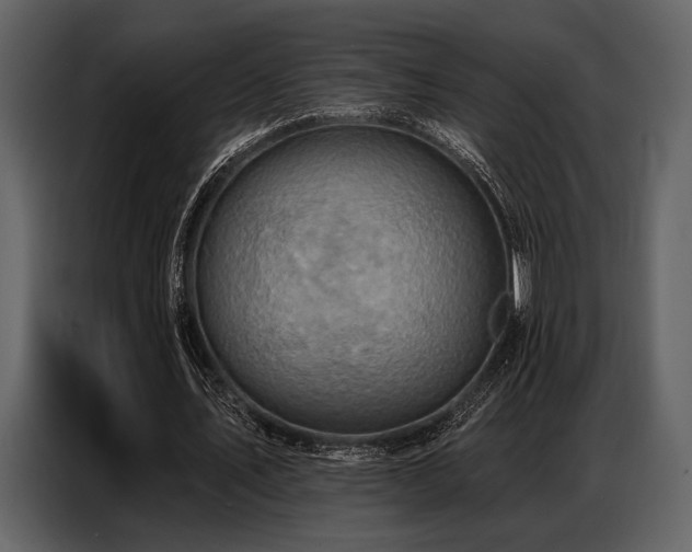 X0000087740579200705071054