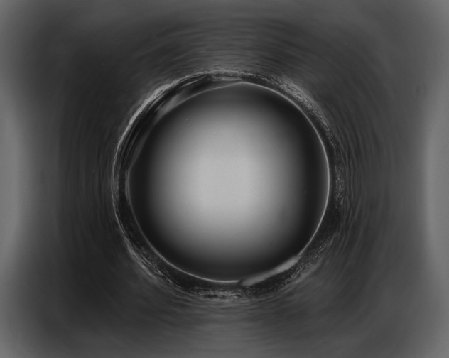 X0000087740580200705071054