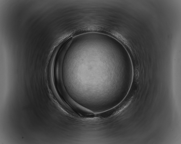 X0000087740581200705071054