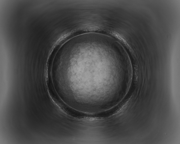 X0000087740582200705071054