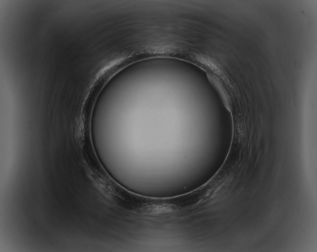 X0000087740583200705071054