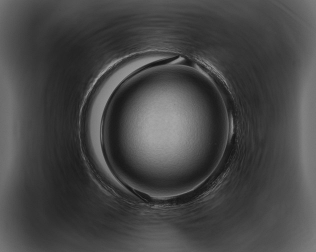 X0000087740584200705071054