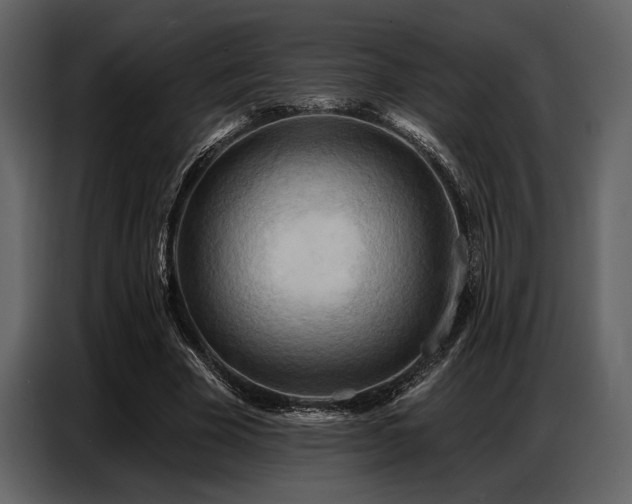 X0000087740585200705071054