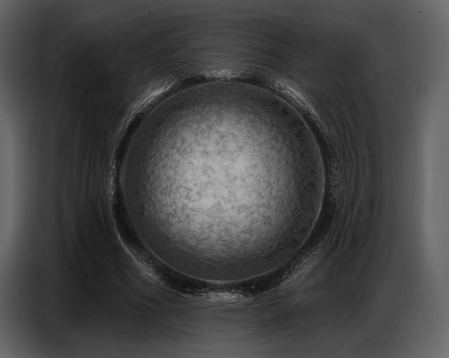 X0000087740586200705071054