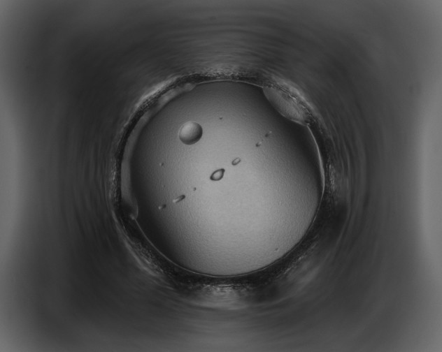 X0000087740588200705071054