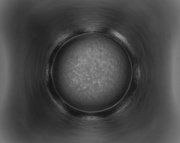 X0000087740590200705071054