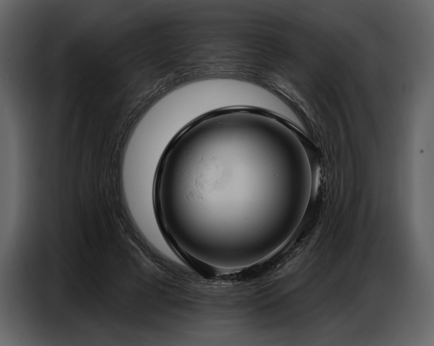 X0000087740593200705071054