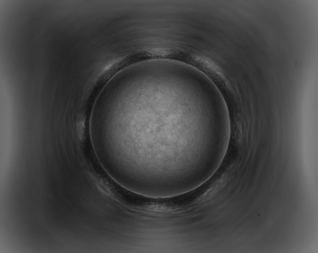 X0000087740596200705071054