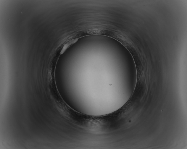 X0000087740599200705071054