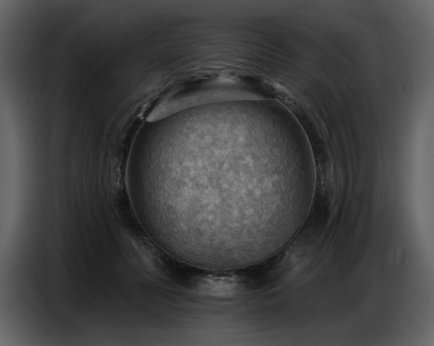 X0000087740606200705071054