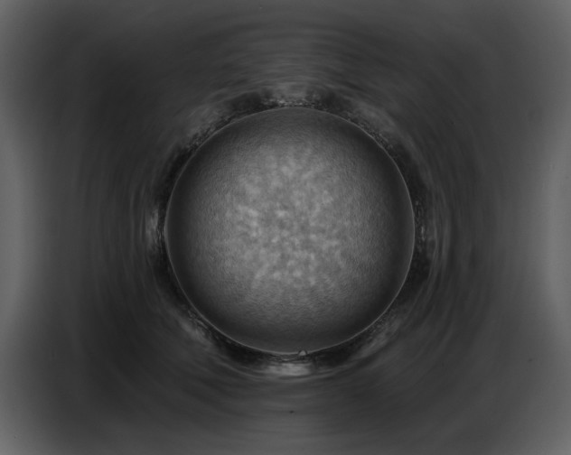 X0000087740610200705071054