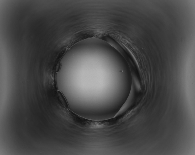 X0000087740613200705071054