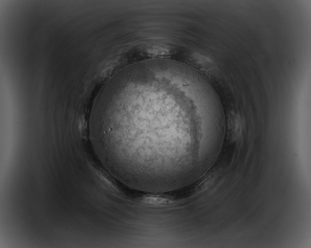 X0000087740614200705071054
