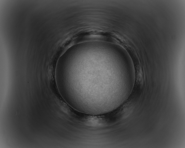 X0000087740616200705071054
