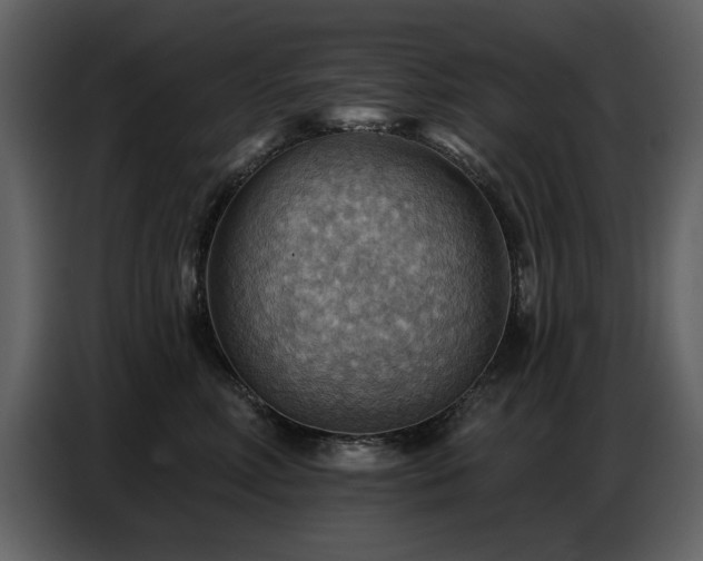 X0000087740618200705071054