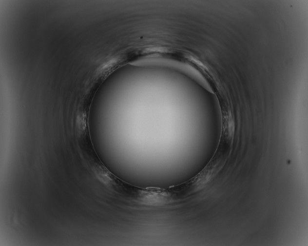 X0000087740621200705071054