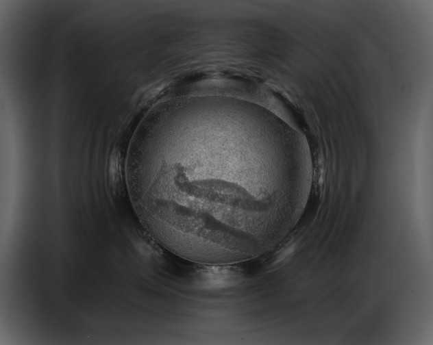 X0000087740623200705071054