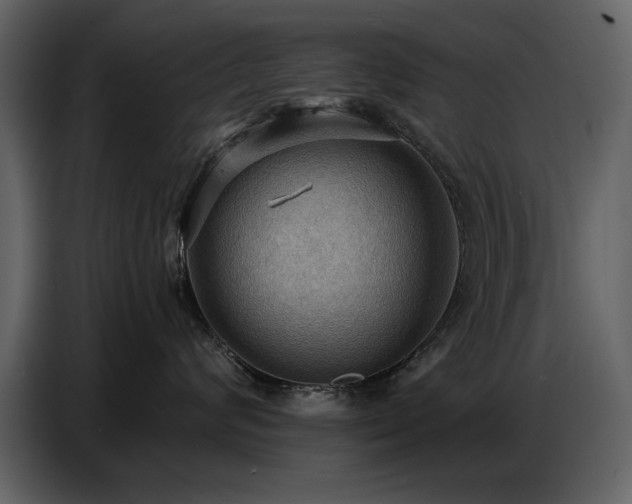 X0000087740624200705071054