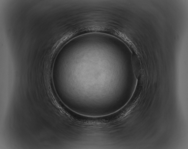 X0000087740625200705071053