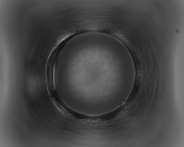 X0000087740626200705071053