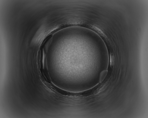 X0000087740627200705071053