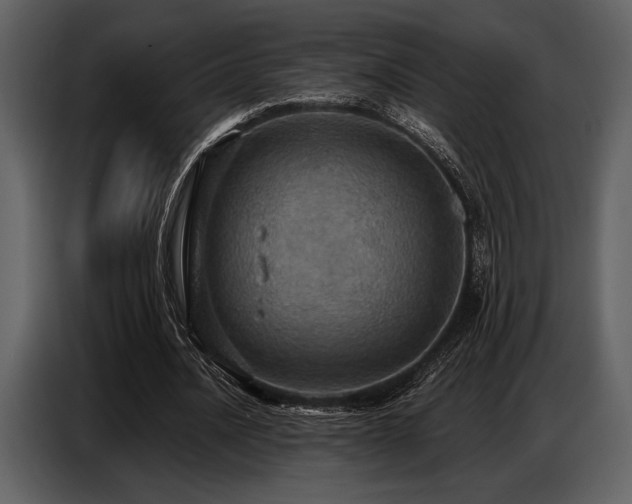X0000087740628200705071053