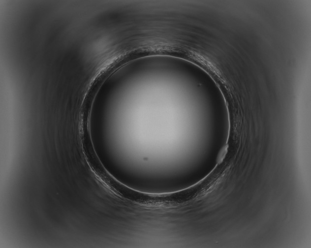 X0000087740629200705071053